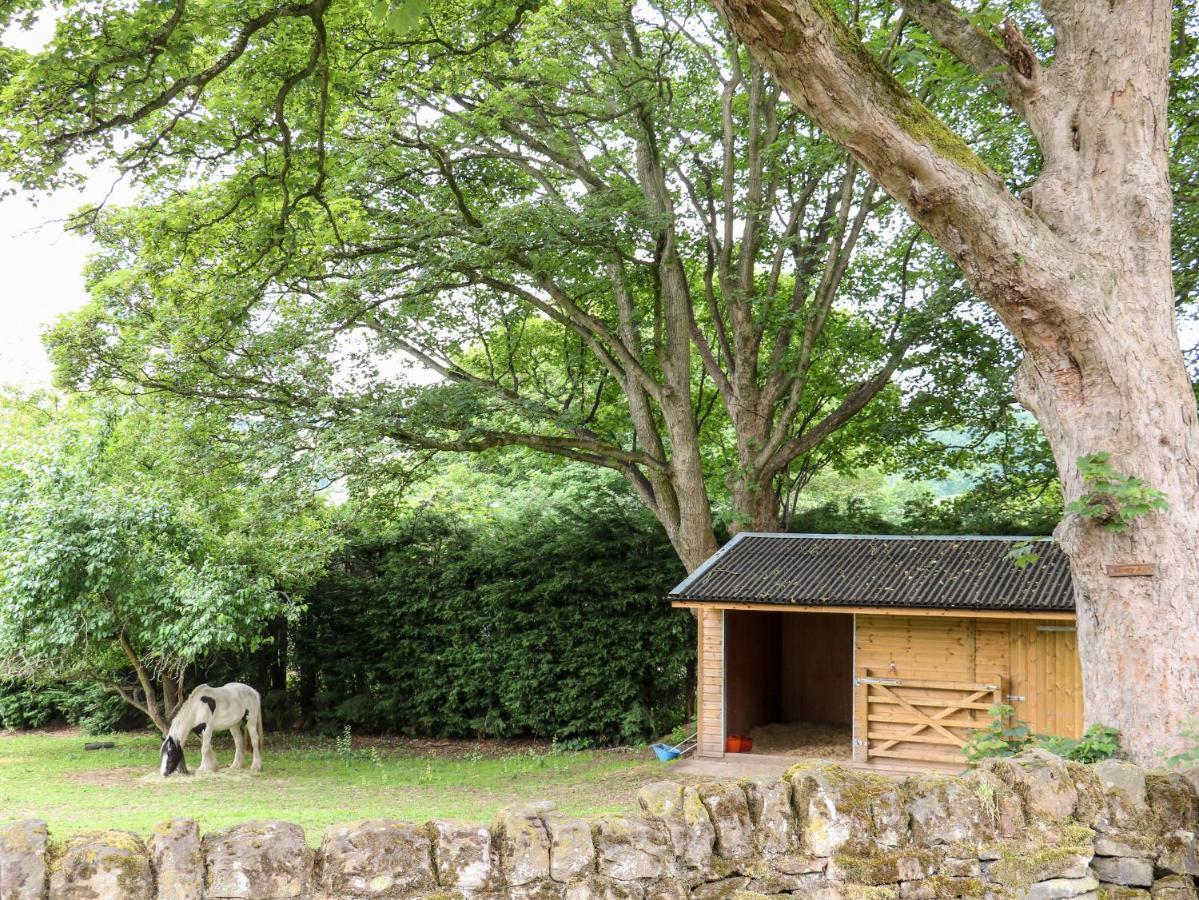 Bluebell Cottage Alfreton Exteriér fotografie
